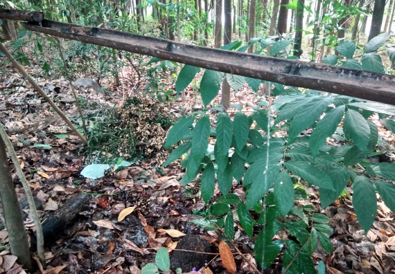ภาพกิจกรรม โปรแกรมวิชาเกษตรศาสตร์ จัดศึกษาดูงานแหล่งเรียนรู้ด้านการเกษตร
