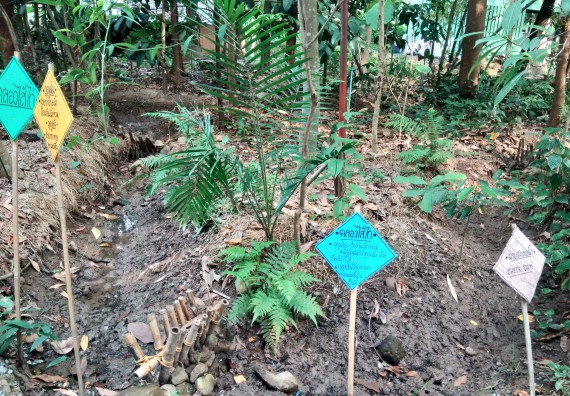 ภาพกิจกรรม โปรแกรมวิชาเกษตรศาสตร์ จัดศึกษาดูงานแหล่งเรียนรู้ด้านการเกษตร