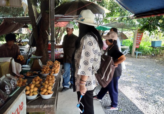 ภาพกิจกรรม โปรแกรมวิชาเกษตรศาสตร์ จัดศึกษาดูงานแหล่งเรียนรู้ด้านการเกษตร