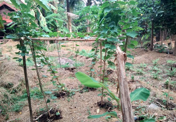 ภาพกิจกรรม โปรแกรมวิชาเกษตรศาสตร์ จัดศึกษาดูงานแหล่งเรียนรู้ด้านการเกษตร