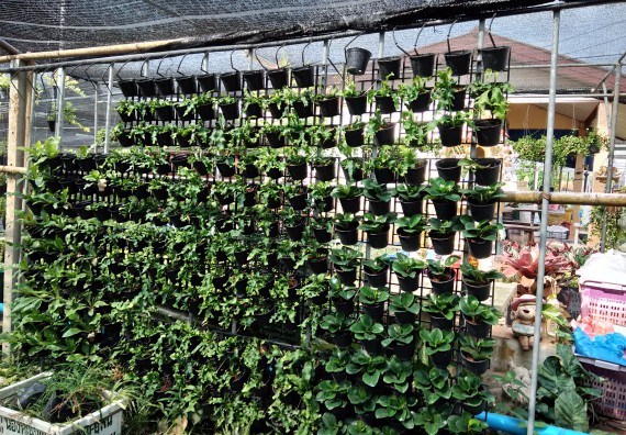 ภาพกิจกรรม โปรแกรมวิชาเกษตรศาสตร์ จัดศึกษาดูงานแหล่งเรียนรู้ด้านการเกษตร