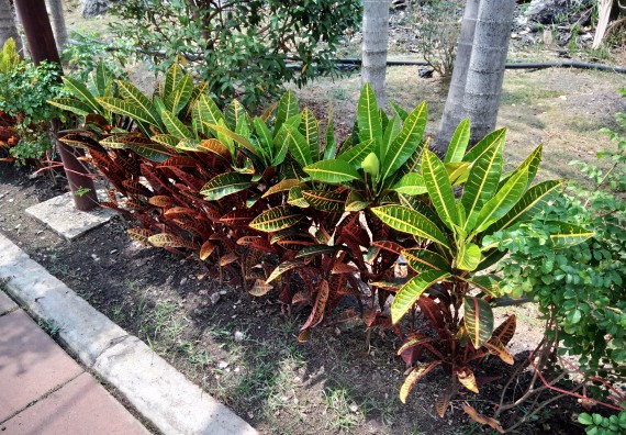 ภาพกิจกรรม โปรแกรมวิชาเกษตรศาสตร์ จัดศึกษาดูงานแหล่งเรียนรู้ด้านการเกษตร