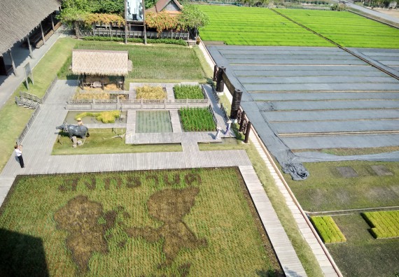 ภาพกิจกรรม โปรแกรมวิชาเกษตรศาสตร์ จัดศึกษาดูงานแหล่งเรียนรู้ด้านการเกษตร