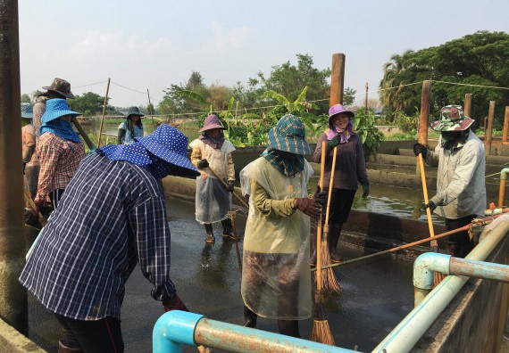 ภาพกิจกรรม โปรแกรมวิชาชีววิทยา	จัดโครงการพัฒนาบัณฑิตทางชีววิทยาที่ตอบสนองอุตสาหกรรมกับจำนงค์ ฟาร์ม อำเภอพาน จังหวัดเชียงราย