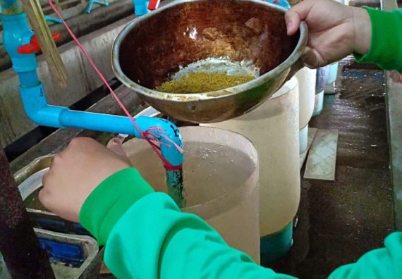 ภาพกิจกรรม โปรแกรมวิชาชีววิทยา	จัดโครงการพัฒนาบัณฑิตทางชีววิทยาที่ตอบสนองอุตสาหกรรมกับจำนงค์ ฟาร์ม อำเภอพาน จังหวัดเชียงราย