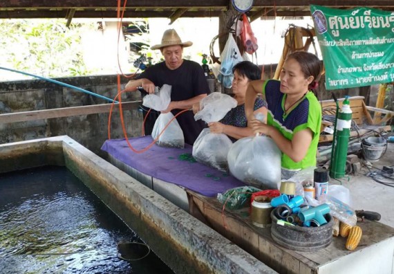 ภาพกิจกรรม โปรแกรมวิชาชีววิทยา	จัดโครงการพัฒนาบัณฑิตทางชีววิทยาที่ตอบสนองอุตสาหกรรมกับจำนงค์ ฟาร์ม อำเภอพาน จังหวัดเชียงราย