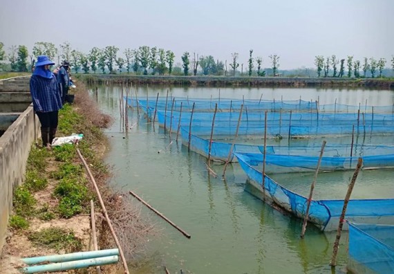 ภาพกิจกรรม โปรแกรมวิชาชีววิทยา	จัดโครงการพัฒนาบัณฑิตทางชีววิทยาที่ตอบสนองอุตสาหกรรมกับจำนงค์ ฟาร์ม อำเภอพาน จังหวัดเชียงราย