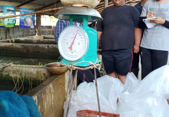 ภาพกิจกรรม โปรแกรมวิชาชีววิทยา	จัดโครงการพัฒนาบัณฑิตทางชีววิทยาที่ตอบสนองอุตสาหกรรมกับจำนงค์ ฟาร์ม อำเภอพาน จังหวัดเชียงราย