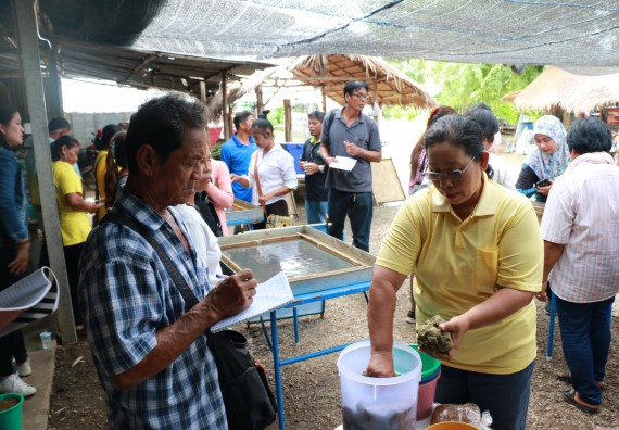 ภาพกิจกรรม  คณะวิทยาศาสตร์และเทคโนโลยี จัดกิจกรรมศึกษาดูงานและอบรมเชิงปฏิบัติการ เรื่อง การทำกระดาษจากต้นกล้วย