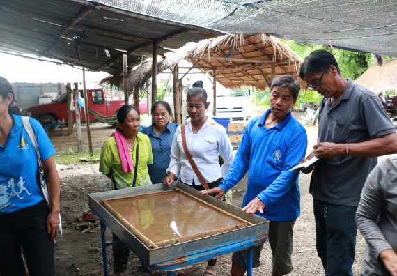 ภาพกิจกรรม  คณะวิทยาศาสตร์และเทคโนโลยี จัดกิจกรรมศึกษาดูงานและอบรมเชิงปฏิบัติการ เรื่อง การทำกระดาษจากต้นกล้วย