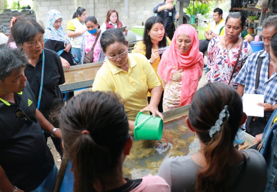 ภาพกิจกรรม  คณะวิทยาศาสตร์และเทคโนโลยี จัดกิจกรรมศึกษาดูงานและอบรมเชิงปฏิบัติการ เรื่อง การทำกระดาษจากต้นกล้วย