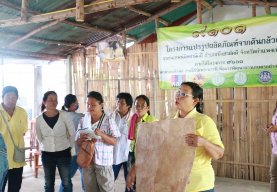 ภาพกิจกรรม  คณะวิทยาศาสตร์และเทคโนโลยี จัดกิจกรรมศึกษาดูงานและอบรมเชิงปฏิบัติการ เรื่อง การทำกระดาษจากต้นกล้วย