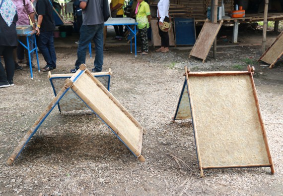 ภาพกิจกรรม  คณะวิทยาศาสตร์และเทคโนโลยี จัดกิจกรรมศึกษาดูงานและอบรมเชิงปฏิบัติการ เรื่อง การทำกระดาษจากต้นกล้วย