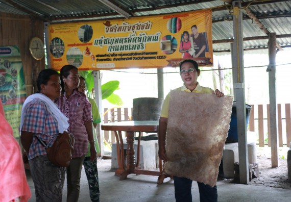 ภาพกิจกรรม  คณะวิทยาศาสตร์และเทคโนโลยี จัดกิจกรรมศึกษาดูงานและอบรมเชิงปฏิบัติการ เรื่อง การทำกระดาษจากต้นกล้วย