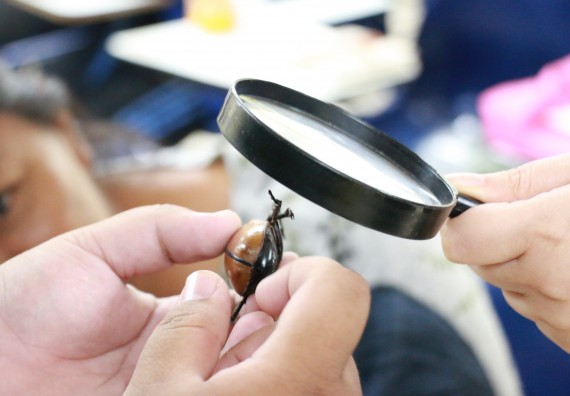 ภาพกิจกรรม คณะวิทยาศาสตร์และเทคโนโลยี จัดอบรมเชิงปฏิบัติการ เรื่อง การถ่ายทอดองค์ความรู้และนวัตกรรมที่ใช้ประโยชน์และแก้ปัญหาแก่ชุมชน