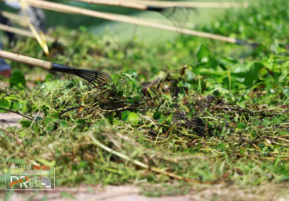 ภาพกิจกรรม คณะวิทยาศาสตร์และเทคโนโลยี เข้าร่วมโครงการจิตอาสาพัฒนามหาวิทยาลัยราชภัฏกำแพงเพชร (เราทำความดีด้วยหัวใจ)