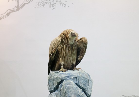 ภาพกิจกรรม คณะวิทยาศาสตร์และเทคโนโลยี จัดนิทรรศการในงานมหกรรมวิทยาศาสตร์และเทคโนโลยีแห่งชาติ