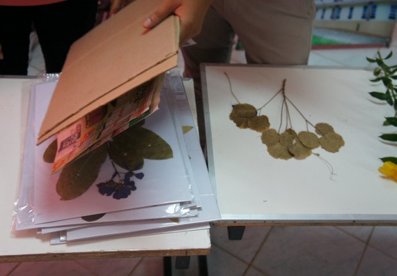 ภาพกิจกรรม โปรแกรมชีววิทยา จัดกิจกรรมบริการวิชาการแนะแนวการศึกษาโปรแกรมชีววิทยา