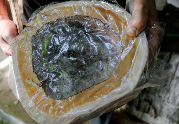 ภาพกิจกรรม คณะวิทยาศาสตร์และเทคโนโลยี จัดอบรมเชิงปฏิบัติการเพื่อเสริมสร้างสมรรถนะบุคคลากรด้านวิทยาศาสตร์และเทคโนโลยีในการทำวิจัยด้านความหลากหลายของพืช สมุนไพรเพื่อรักษาโรคเรื้อรัง จุลลินชีพที่มีประโยชน์