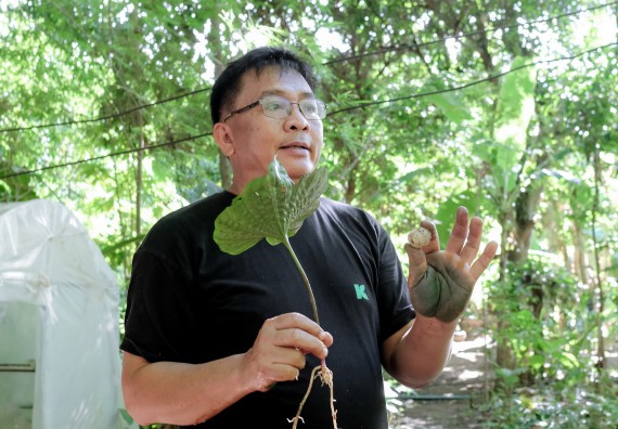ภาพกิจกรรม คณะวิทยาศาสตร์และเทคโนโลยี จัดอบรมเชิงปฏิบัติการเพื่อเสริมสร้างสมรรถนะบุคคลากรด้านวิทยาศาสตร์และเทคโนโลยีในการทำวิจัยด้านความหลากหลายของพืช สมุนไพรเพื่อรักษาโรคเรื้อรัง จุลลินชีพที่มีประโยชน์