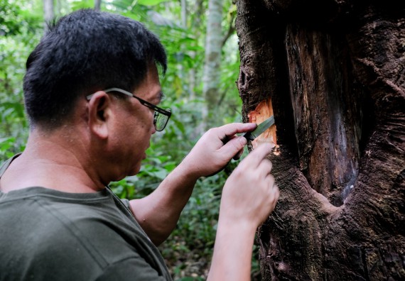 ภาพกิจกรรม คณะวิทยาศาสตร์และเทคโนโลยี จัดอบรมเชิงปฏิบัติการเพื่อเสริมสร้างสมรรถนะบุคคลากรด้านวิทยาศาสตร์และเทคโนโลยีในการทำวิจัยด้านความหลากหลายของพืช สมุนไพรเพื่อรักษาโรคเรื้อรัง จุลลินชีพที่มีประโยชน์