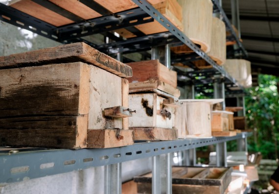 ภาพกิจกรรม คณะวิทยาศาสตร์และเทคโนโลยี จัดอบรมเชิงปฏิบัติการเพื่อเสริมสร้างสมรรถนะบุคคลากรด้านวิทยาศาสตร์และเทคโนโลยีในการทำวิจัยด้านความหลากหลายของพืช สมุนไพรเพื่อรักษาโรคเรื้อรัง จุลลินชีพที่มีประโยชน์