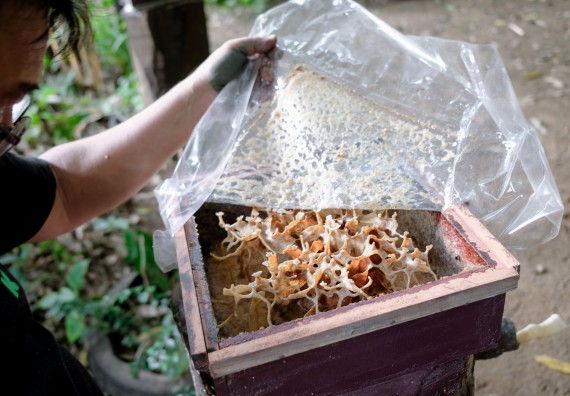 ภาพกิจกรรม คณะวิทยาศาสตร์และเทคโนโลยี จัดอบรมเชิงปฏิบัติการเพื่อเสริมสร้างสมรรถนะบุคคลากรด้านวิทยาศาสตร์และเทคโนโลยีในการทำวิจัยด้านความหลากหลายของพืช สมุนไพรเพื่อรักษาโรคเรื้อรัง จุลลินชีพที่มีประโยชน์