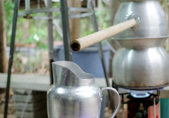 ภาพกิจกรรม คณะวิทยาศาสตร์และเทคโนโลยี จัดอบรมเชิงปฏิบัติการเพื่อเสริมสร้างสมรรถนะบุคคลากรด้านวิทยาศาสตร์และเทคโนโลยีในการทำวิจัยด้านความหลากหลายของพืช สมุนไพรเพื่อรักษาโรคเรื้อรัง จุลลินชีพที่มีประโยชน์