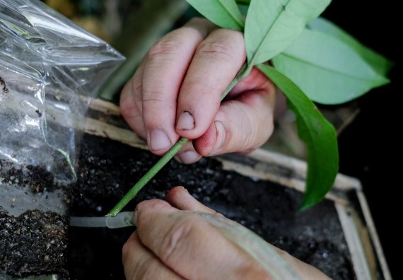 ภาพกิจกรรม คณะวิทยาศาสตร์และเทคโนโลยี จัดอบรมเชิงปฏิบัติการเพื่อเสริมสร้างสมรรถนะบุคคลากรด้านวิทยาศาสตร์และเทคโนโลยีในการทำวิจัยด้านความหลากหลายของพืช สมุนไพรเพื่อรักษาโรคเรื้อรัง จุลลินชีพที่มีประโยชน์