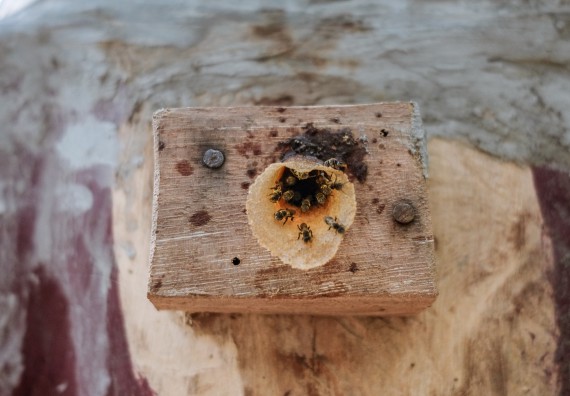 ภาพกิจกรรม คณะวิทยาศาสตร์และเทคโนโลยี จัดอบรมเชิงปฏิบัติการเพื่อเสริมสร้างสมรรถนะบุคคลากรด้านวิทยาศาสตร์และเทคโนโลยีในการทำวิจัยด้านความหลากหลายของพืช สมุนไพรเพื่อรักษาโรคเรื้อรัง จุลลินชีพที่มีประโยชน์