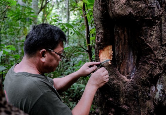ภาพกิจกรรม คณะวิทยาศาสตร์และเทคโนโลยี จัดอบรมเชิงปฏิบัติการเพื่อเสริมสร้างสมรรถนะบุคคลากรด้านวิทยาศาสตร์และเทคโนโลยีในการทำวิจัยด้านความหลากหลายของพืช สมุนไพรเพื่อรักษาโรคเรื้อรัง จุลลินชีพที่มีประโยชน์