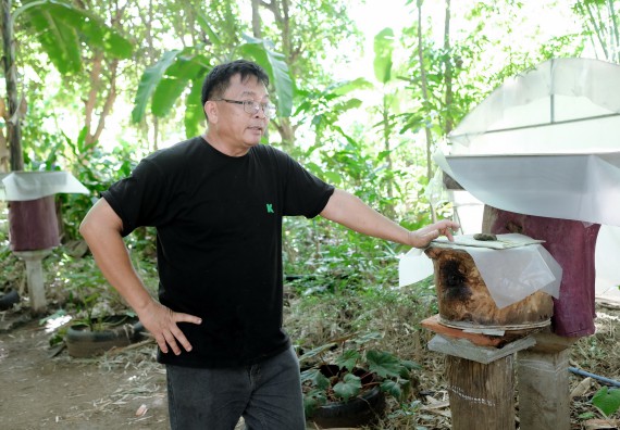 ภาพกิจกรรม คณะวิทยาศาสตร์และเทคโนโลยี จัดอบรมเชิงปฏิบัติการเพื่อเสริมสร้างสมรรถนะบุคคลากรด้านวิทยาศาสตร์และเทคโนโลยีในการทำวิจัยด้านความหลากหลายของพืช สมุนไพรเพื่อรักษาโรคเรื้อรัง จุลลินชีพที่มีประโยชน์