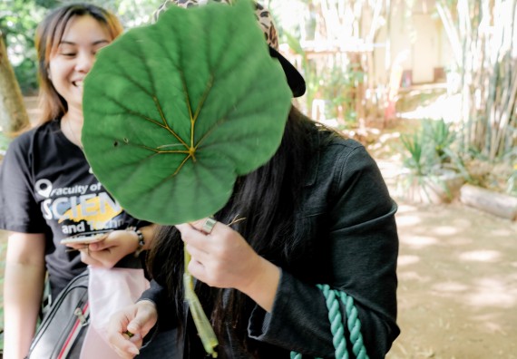 ภาพกิจกรรม คณะวิทยาศาสตร์และเทคโนโลยี จัดอบรมเชิงปฏิบัติการเพื่อเสริมสร้างสมรรถนะบุคคลากรด้านวิทยาศาสตร์และเทคโนโลยีในการทำวิจัยด้านความหลากหลายของพืช สมุนไพรเพื่อรักษาโรคเรื้อรัง จุลลินชีพที่มีประโยชน์