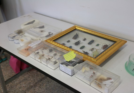 ภาพกิจกรรม คณะวิทยาศาสตร์และเทคโนโลยี จัดโครงการฝึกทักษะการเรียนรู้ค่ายวิทยาศาสตร์ Science 2019