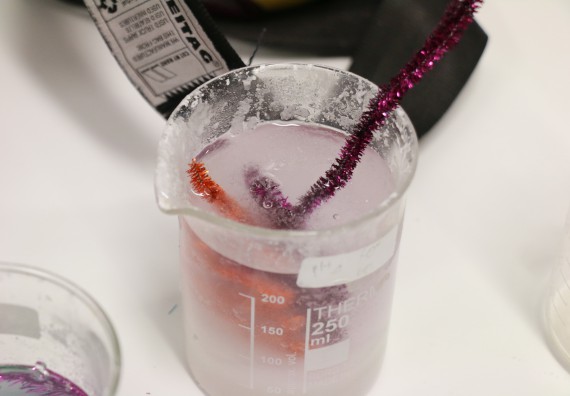 ภาพกิจกรรม คณะวิทยาศาสตร์และเทคโนโลยี จัดโครงการฝึกทักษะการเรียนรู้ค่ายวิทยาศาสตร์ Science 2019