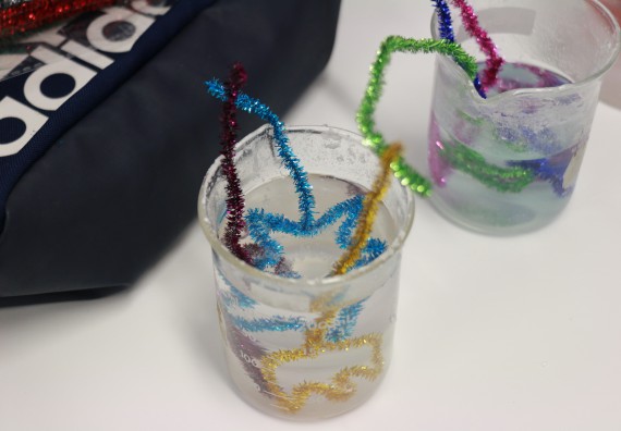 ภาพกิจกรรม คณะวิทยาศาสตร์และเทคโนโลยี จัดโครงการฝึกทักษะการเรียนรู้ค่ายวิทยาศาสตร์ Science 2019