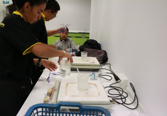 ภาพกิจกรรม คณะวิทยาศาสตร์และเทคโนโลยี จัดโครงการฝึกทักษะการเรียนรู้ค่ายวิทยาศาสตร์ Science 2019