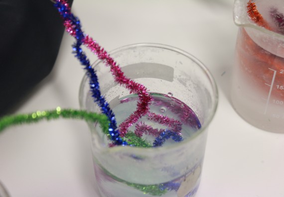 ภาพกิจกรรม คณะวิทยาศาสตร์และเทคโนโลยี จัดโครงการฝึกทักษะการเรียนรู้ค่ายวิทยาศาสตร์ Science 2019