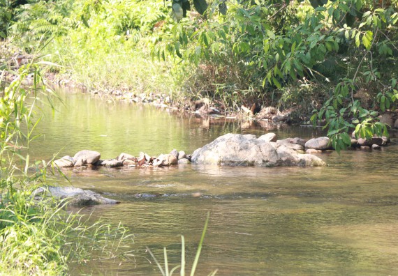 ภาพกิจกรรม คณะวิทยาศาสตร์และเทคโนโลยี จัดโครงการ ECY-CAMP (Environmental Conservation Youth Camp)“ค่ายพัฒนาศักยภาพการเรียนรู้ของนักเรียนด้านวิทยาศาสตร์และสิ่งแวดล้อม