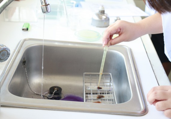 ภาพกิจกรรม โปรแกรมวิชาชีววิทยา จัดอบรมเชิงปฏิบัติการเทคนิคปลอดเชื้อและการเพาะเลี้ยงเนื้อเยื่อพืช