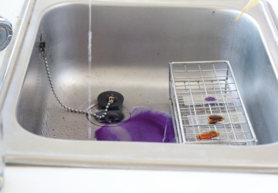 ภาพกิจกรรม โปรแกรมวิชาชีววิทยา จัดอบรมเชิงปฏิบัติการเทคนิคปลอดเชื้อและการเพาะเลี้ยงเนื้อเยื่อพืช