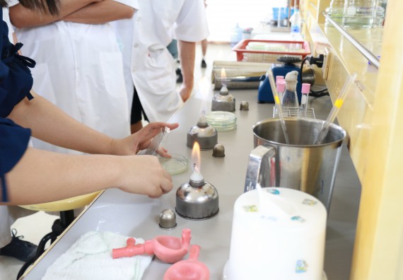 ภาพกิจกรรม โปรแกรมวิชาชีววิทยา จัดอบรมเชิงปฏิบัติการเทคนิคปลอดเชื้อและการเพาะเลี้ยงเนื้อเยื่อพืช