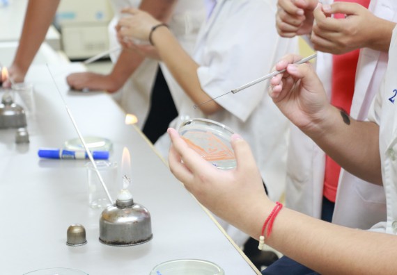 ภาพกิจกรรม โปรแกรมวิชาชีววิทยา จัดอบรมเชิงปฏิบัติการเทคนิคปลอดเชื้อและการเพาะเลี้ยงเนื้อเยื่อพืช