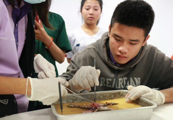 ภาพกิจกรรม คณะวิทยาศาสตร์และเทคโนโลยี จัดค่ายบูรณาการส่งเสริมนักเรียนห้องเรียนพิเศษ (E-SMART) ด้านวิทยาศาสตร์ โรงเรียนคลองขลุงราษรังสรรค์