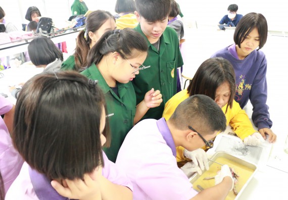 ภาพกิจกรรม คณะวิทยาศาสตร์และเทคโนโลยี จัดค่ายบูรณาการส่งเสริมนักเรียนห้องเรียนพิเศษ (E-SMART) ด้านวิทยาศาสตร์ โรงเรียนคลองขลุงราษรังสรรค์