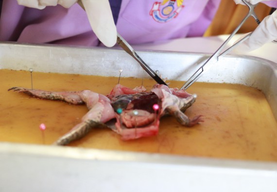 ภาพกิจกรรม คณะวิทยาศาสตร์และเทคโนโลยี จัดค่ายบูรณาการส่งเสริมนักเรียนห้องเรียนพิเศษ (E-SMART) ด้านวิทยาศาสตร์ โรงเรียนคลองขลุงราษรังสรรค์