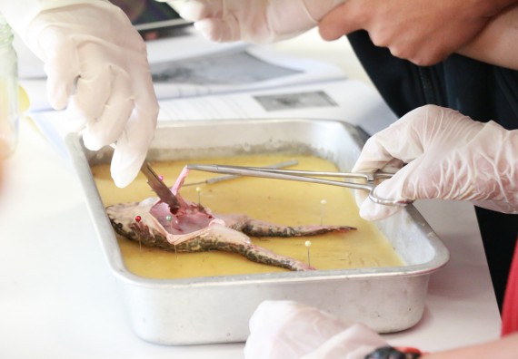 ภาพกิจกรรม คณะวิทยาศาสตร์และเทคโนโลยี จัดค่ายบูรณาการส่งเสริมนักเรียนห้องเรียนพิเศษ (E-SMART) ด้านวิทยาศาสตร์ โรงเรียนคลองขลุงราษรังสรรค์