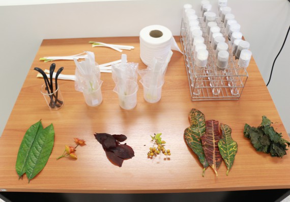 ภาพกิจกรรม คณะวิทยาศาสตร์และเทคโนโลยี จัดโครงการค่ายวิทยาศาสตร์นักเรียนห้องเรียนพิเศษวิทยาศาสตร์ ระดับชั้นมัธยมศึกษาปีที่ 2 โรงเรียนกำแพงเพชรพิทยาคม 