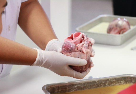 ภาพกิจกรรม คณะวิทยาศาสตร์และเทคโนโลยี จัดโครงการค่ายวิทยาศาสตร์นักเรียนห้องเรียนพิเศษวิทยาศาสตร์ ระดับชั้นมัธยมศึกษาปีที่ 2 โรงเรียนกำแพงเพชรพิทยาคม 