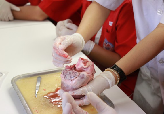 ภาพกิจกรรม คณะวิทยาศาสตร์และเทคโนโลยี จัดโครงการค่ายวิทยาศาสตร์นักเรียนห้องเรียนพิเศษวิทยาศาสตร์ ระดับชั้นมัธยมศึกษาปีที่ 2 โรงเรียนกำแพงเพชรพิทยาคม 